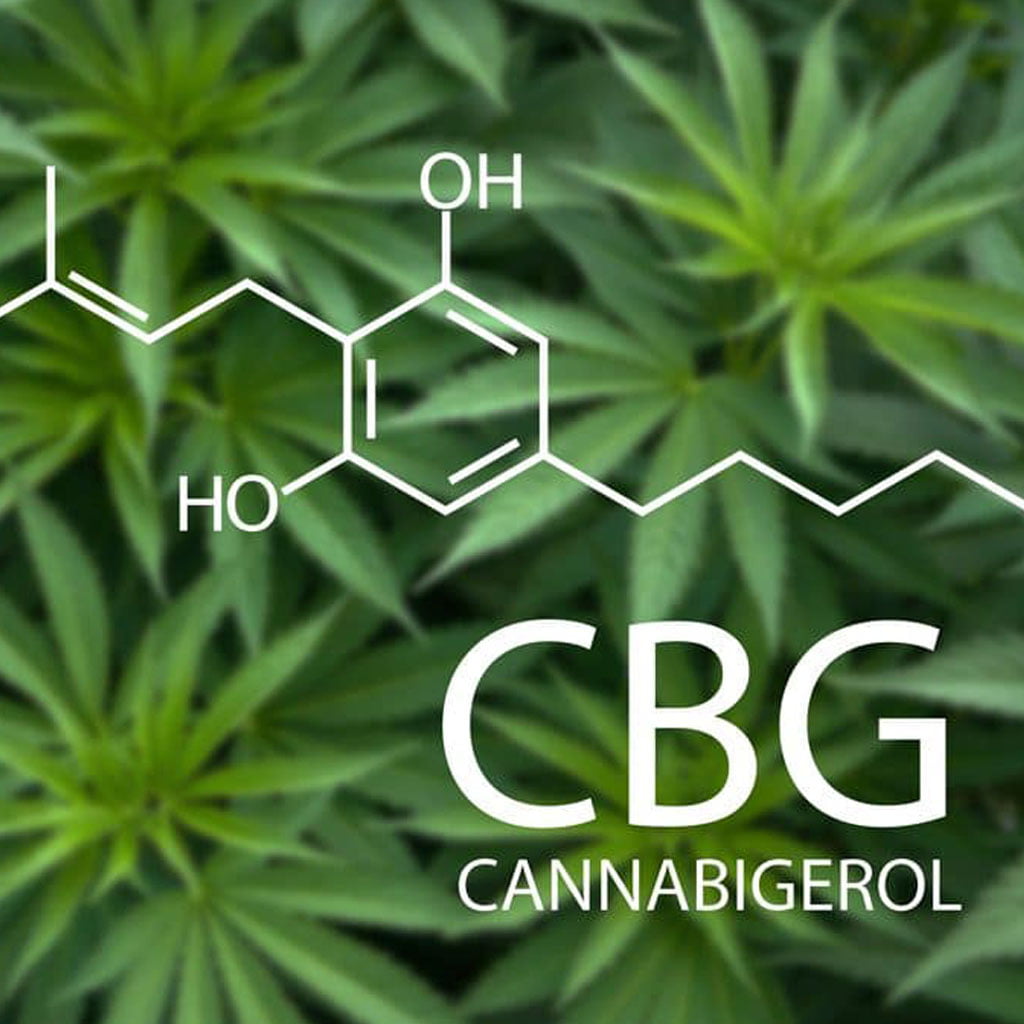 Understanding CBG and its Potential Benefits