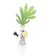 Love Bud Vase by My Bud Vase